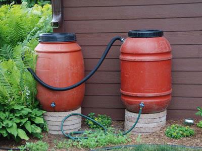 Water Wisely for a Beautiful Garden and Landscape