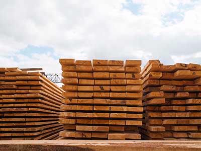 Legislature promotes timber industry as carbon-negative