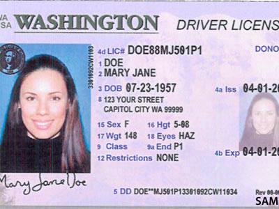 Driver Id License Make