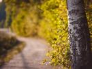 West Lake Park and Bayview Trail